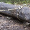Drag Recovery Chain 8mm x 9m Long G80 + G70 Grab hooks PICKUP