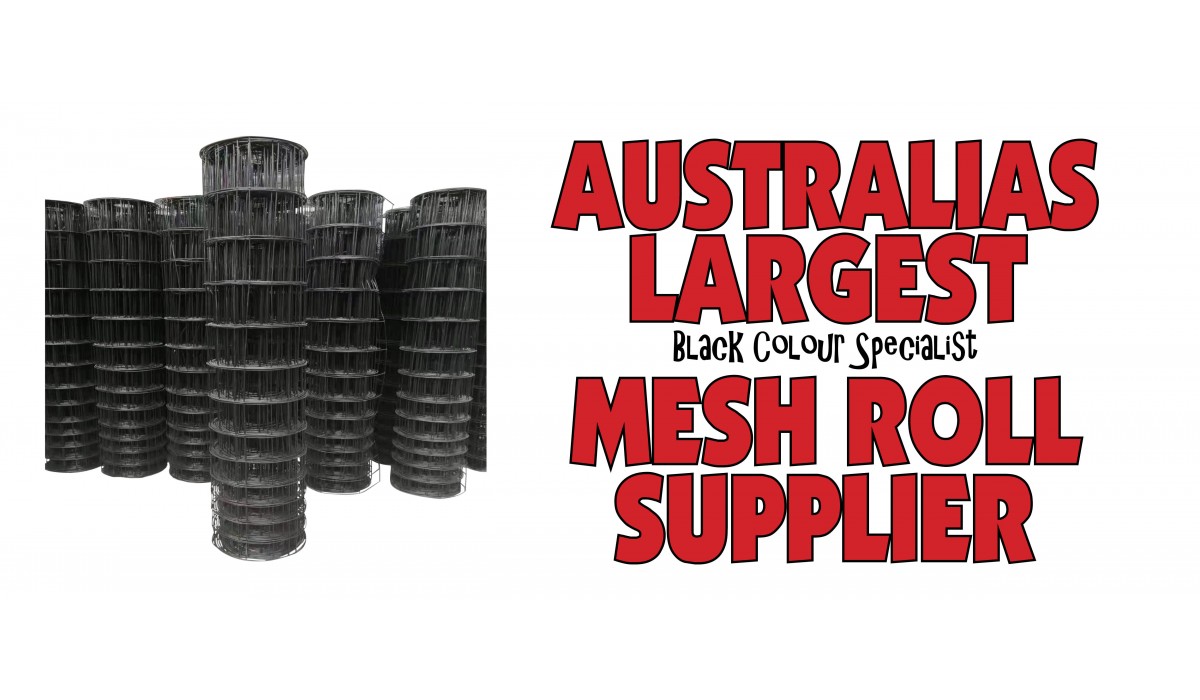 Largest SUpplier
